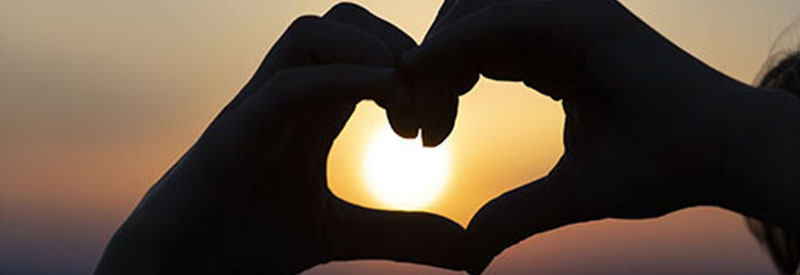 Cagnotte en hommage à M. Hervé TANGUY